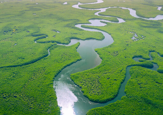 bile av elv i Amazonas med grønt frodig landskap rundt