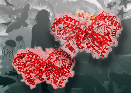 Crystal structure of an enzyme. Background animal and plant shapes