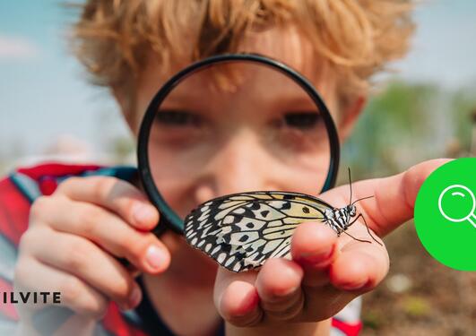 A child looking at a butterfly through a magnifying glass, Vilvite's logo and a green circle with a magnifying glass to the right of the child
