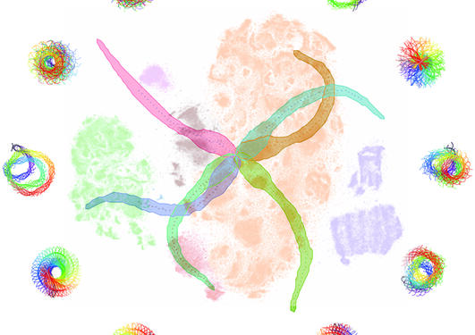 The image shows the behavioral space of Ciona intestinalis amidst a range of behavioral manoeuvres performed by the larvae during spontaneous swimming.