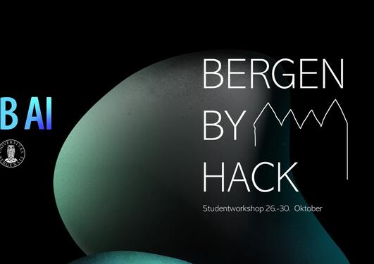 Bergen by-hack