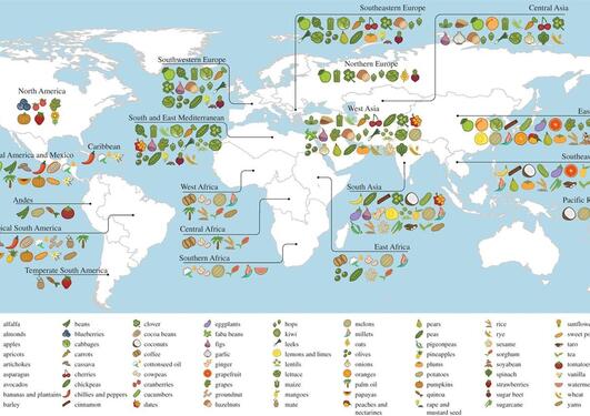 Primary regions of diversity of major agricultural crops worldwide