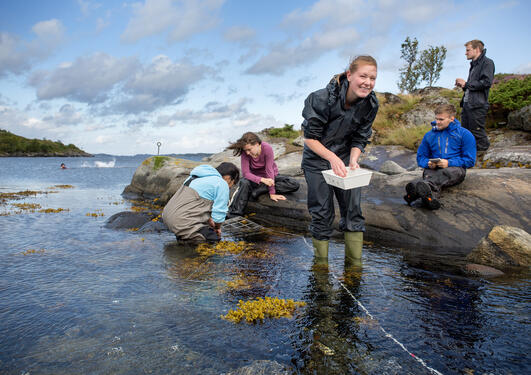 Students from bioCEED, a Norwegian Centre for Excellence in Education, at Lygra, north of Bergen.