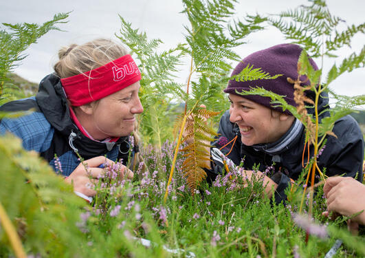 Biologists in the field