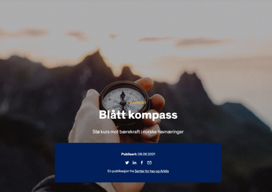 Blått kompass 