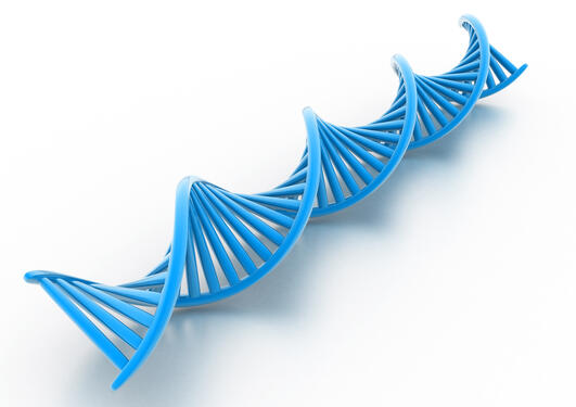 DNA strand illustration