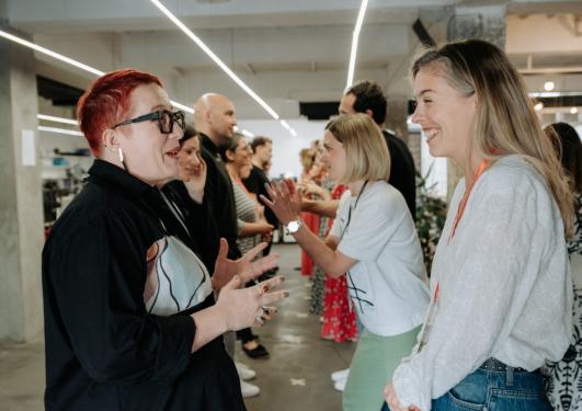 Bridge Mentorship program