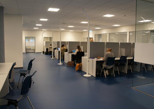 Large reading room with several work stations at The Faculty of Psychology