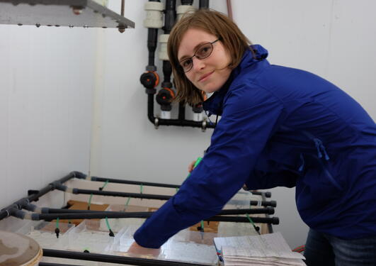 Camilla Jensen in laboratory with tanks with salmon and salmon lice