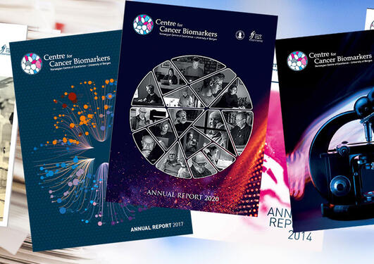 Spread with the covers of the CCBIO Annual Reports through the years.