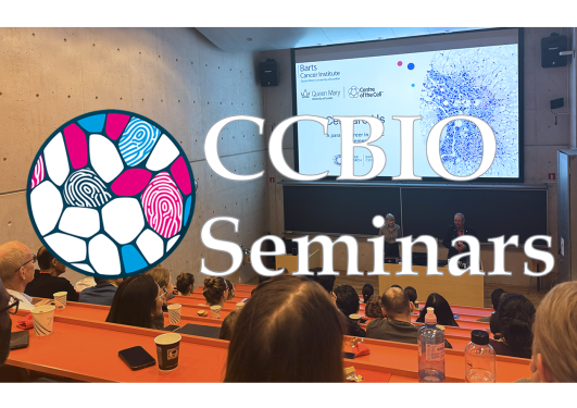 The CCBIO Seminars logo on top of a picture from the auditorium with audience and a speaker.