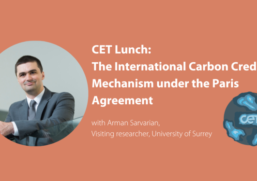 Image of Arman Sarvarian with cet lunch title:  the international carbon crediting mechanism under the paris agreement