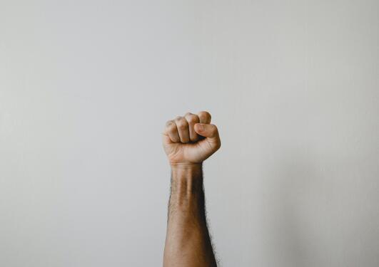 Image of person's right fist held in the air.