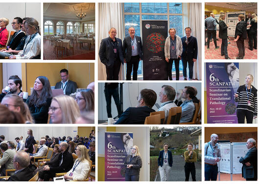 Collage of photos from the Scanpath meeting, with people interacting.