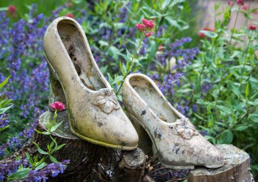 Shoes in garden