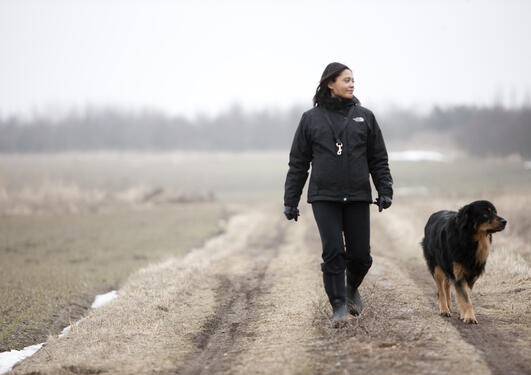 en kvinne går ute på en slette med en hund