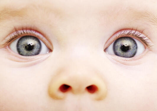 baby looking straight into the camera with bright blue eyes