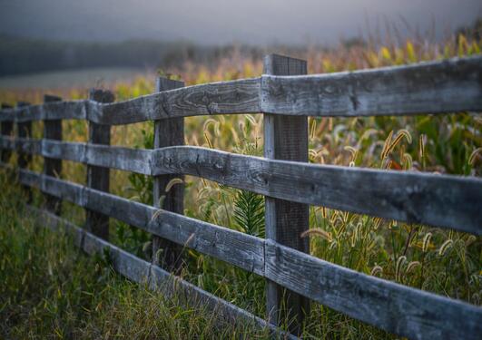 A wooden fence with tall grass on the one side