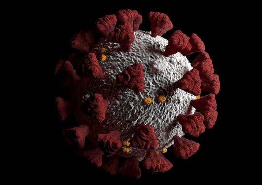 Bilde av koronavirus
