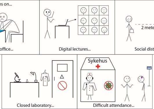 covid-19_effect_on_the_clinical_trial_bortem-17