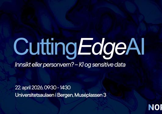 Innsikt eller personvern - forsidebilde