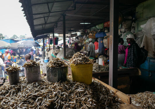 A fish market in Kenya.