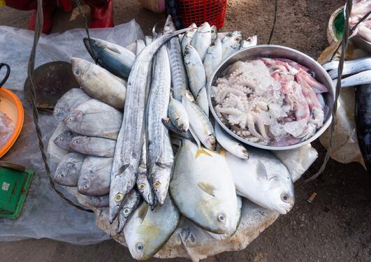 Fisk på marked i Thailand
