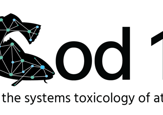 dCod 1.0 logo