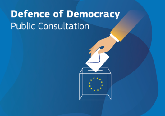 Defence of Democracy, public consultation illustration