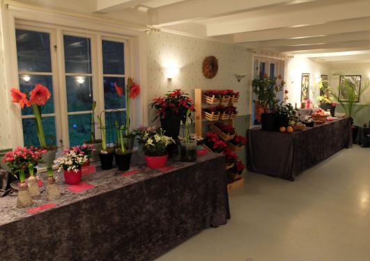 Oversiktsbilda over utstillingsbordene