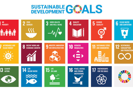 SDGs