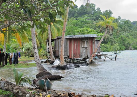 Photo by social anthropologist Edvard Hviding taken during fieldwork in the Marovo lagoon of Solomon Islands in 2010 showing a fast eroding village shore.