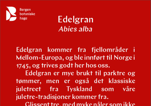 Edelgran