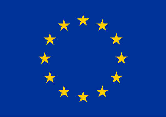 The EU flag - 12 yellow stars in a circle on a blue background