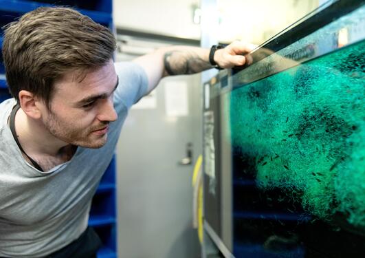 A student at the University of Bergen in the fish laboratory.