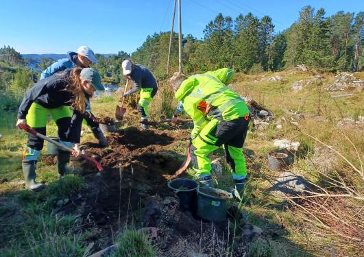 Bilde viser arkeologistudenter som graver i felt