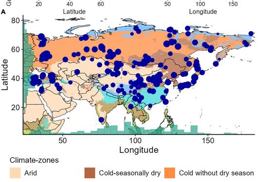 The blue dots show the location of the 205 fossil pollen records used in study of vegetation change in Asia during the last 12 000 yeas.