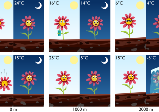 Illustration of species encountering different temperatures. 