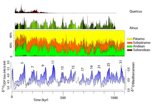 Diagram with four panels showing percentage of Quercus (oak) pollen, percentage of Alnus (alder) pollen, proportion of vegetation type, and delta-18 Oxygen ratio