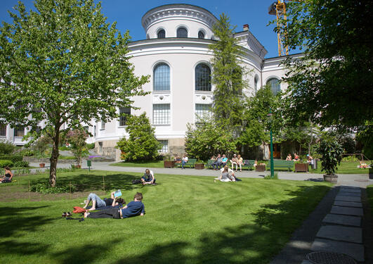 UiB museums gardens with people sunbathing and sitting on benches, relaxing