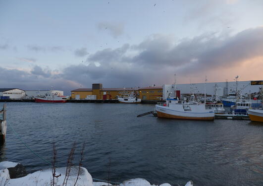 Fiskebåtar på sjøen