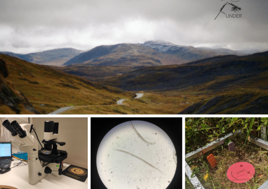 A composite image of a broad landscape view with three smaller photos underneath of a microscope, nematode worms, and a vegetation plot