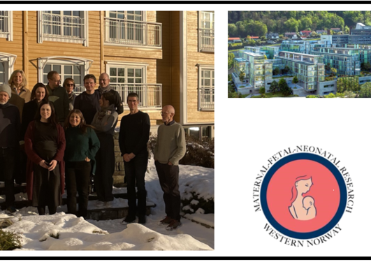 Maternal Fetal Neonatal Research 2023