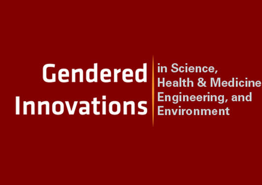 The text Gender Innovations and in Science, Health & Medicine, Engineering and Environment in white, separated by an vertical,orange line, on a red background