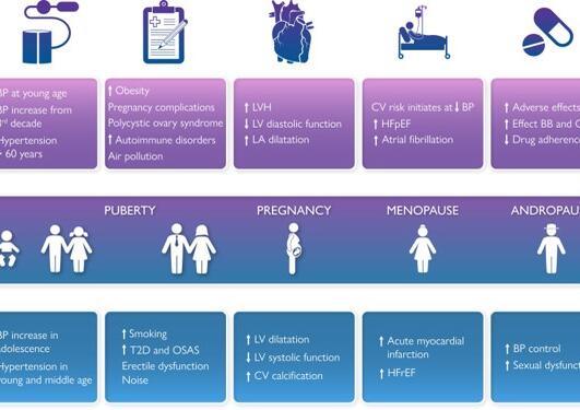 Slide of: Sex differences in hypertension. BP, blood pressure; CV, cardiovascular; T2D, type 2 diabetes; OSAS, obstructive sleep apnoea syndrome; LVH, left ventricular hypertrophy; LV, left ventricular; LA left atrial; HFpEF, heart failure with preserved 