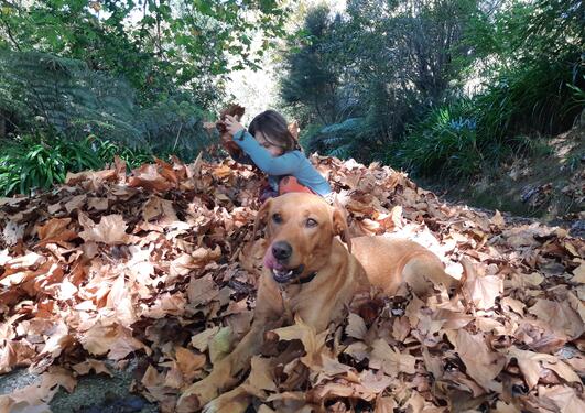 girl and dog in autumn leaves