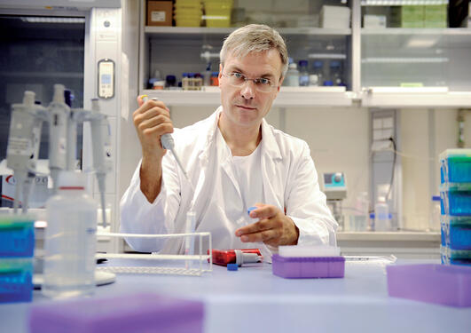 Professor Bjørn Tore Gjertsen in the lab.