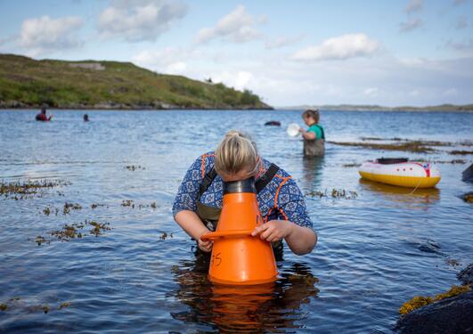 Students from the University of Bergen during field work north of Bergen on the west coast of Norway.