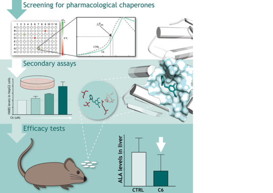 graphical abstract mol therapy