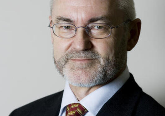 Professor Sigmund Grønmo